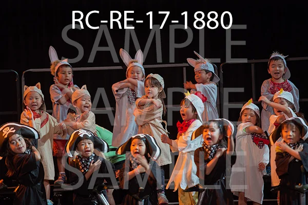 RC-RE-17-1880.jpg