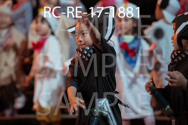 RC-RE-17-1881.jpg