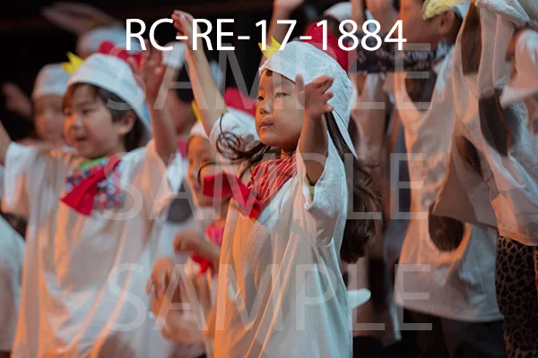 RC-RE-17-1884.jpg