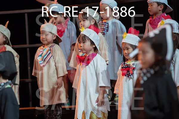 RC-RE-17-1886.jpg