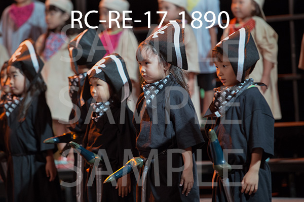 RC-RE-17-1890.jpg
