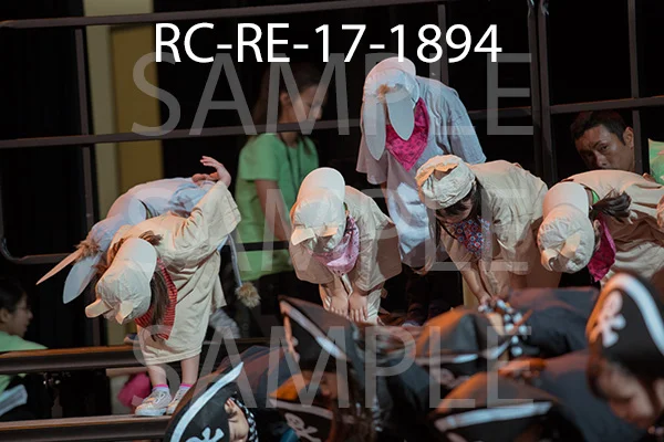 RC-RE-17-1894.jpg