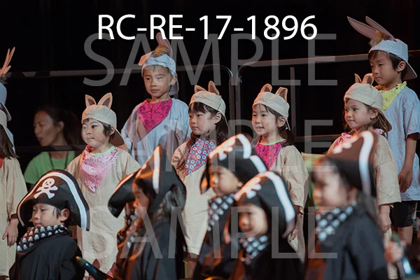 RC-RE-17-1896.jpg