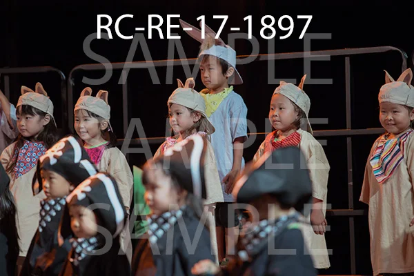RC-RE-17-1897.jpg