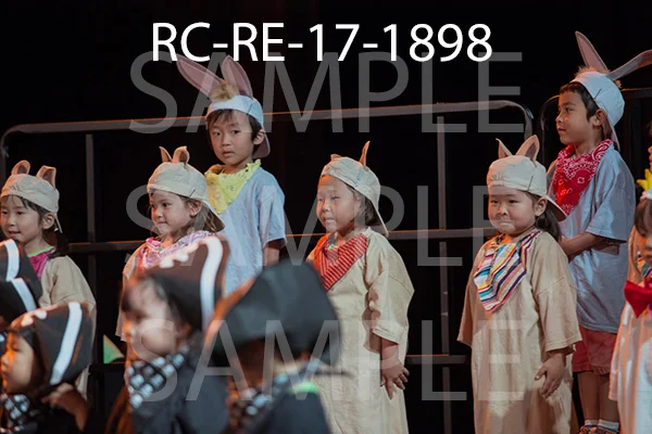 RC-RE-17-1898.jpg