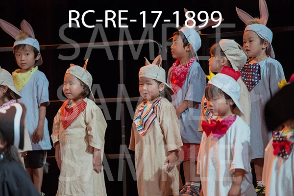 RC-RE-17-1899.jpg