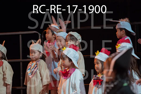 RC-RE-17-1900.jpg