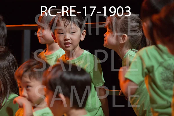 RC-RE-17-1903.jpg