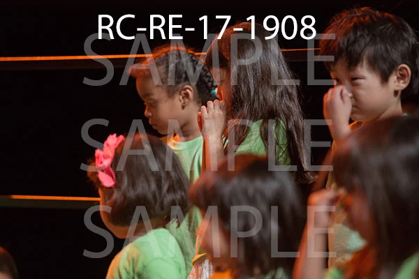 RC-RE-17-1908.jpg