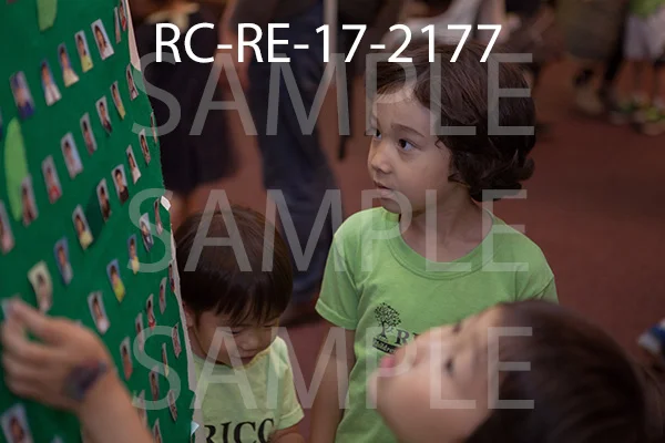 RC-RE-17-2177.jpg