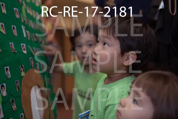 RC-RE-17-2181.jpg