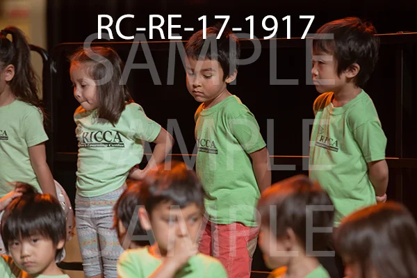 RC-RE-17-1917.jpg