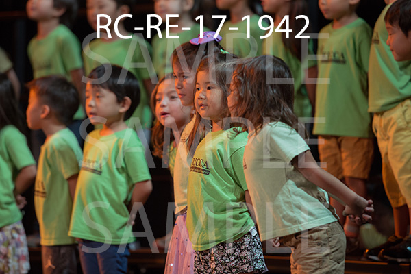 RC-RE-17-1942.jpg