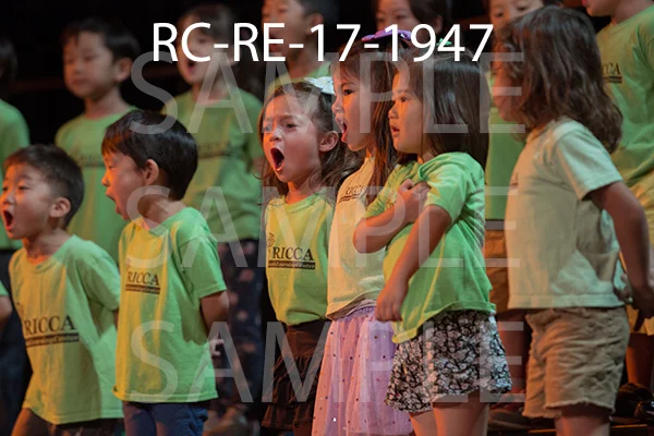 RC-RE-17-1947.jpg
