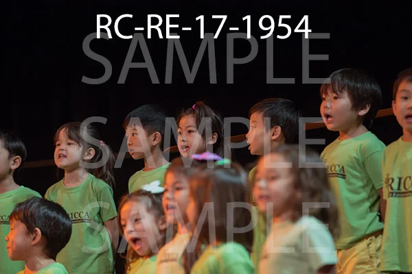 RC-RE-17-1954.jpg