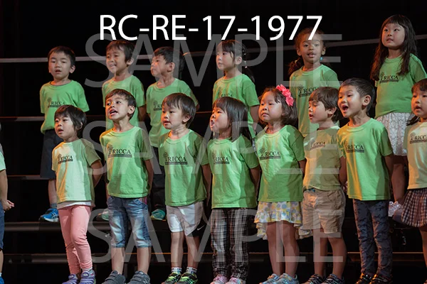RC-RE-17-1977.jpg