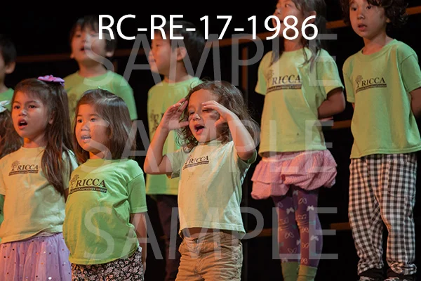 RC-RE-17-1986.jpg