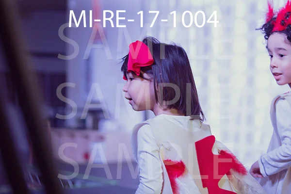 MI-RE-17-1004.jpg