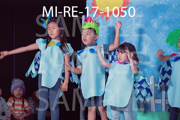 MI-RE-17-1050.jpg