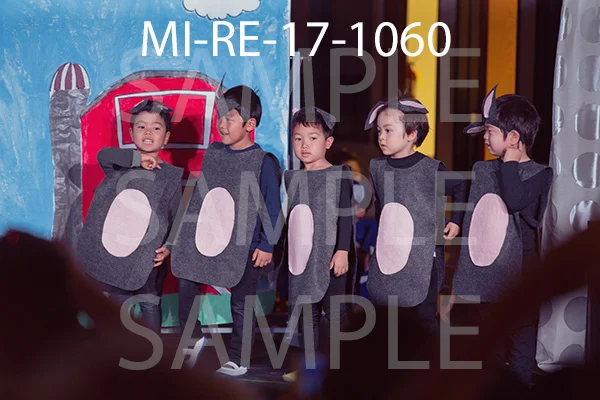 MI-RE-17-1060.jpg