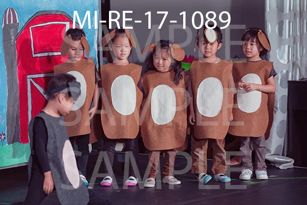MI-RE-17-1089.jpg