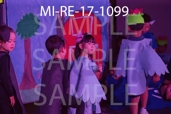 MI-RE-17-1099.jpg