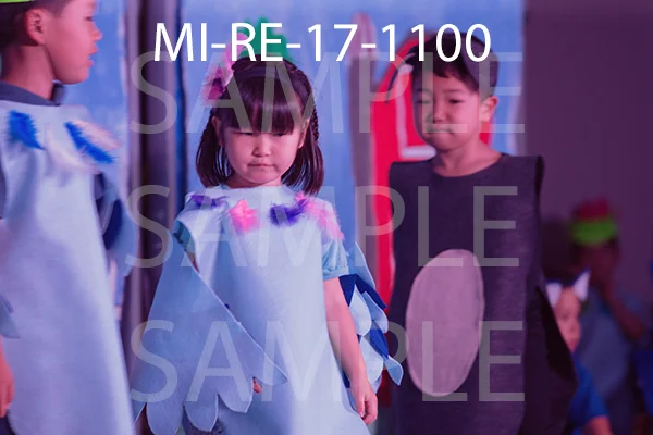 MI-RE-17-1100.jpg