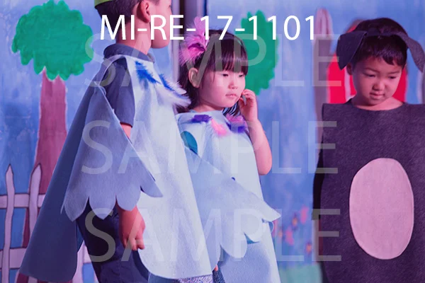 MI-RE-17-1101.jpg