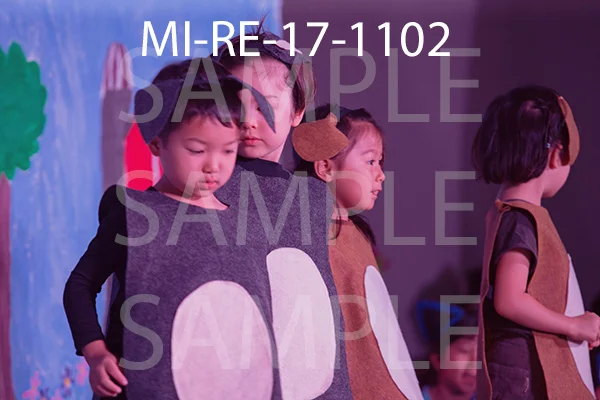 MI-RE-17-1102.jpg