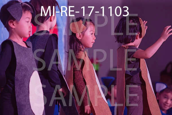 MI-RE-17-1103.jpg