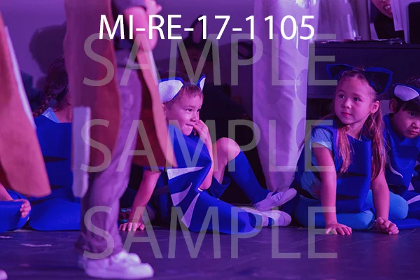 MI-RE-17-1105.jpg