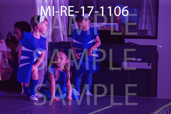 MI-RE-17-1106.jpg