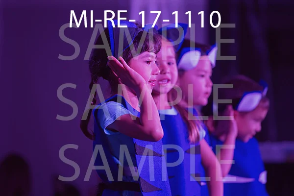 MI-RE-17-1110.jpg