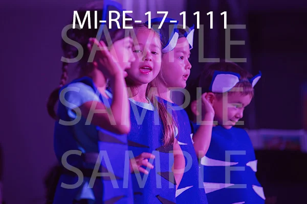 MI-RE-17-1111.jpg
