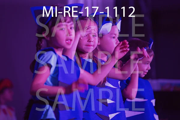MI-RE-17-1112.jpg