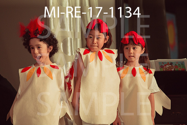 MI-RE-17-1134.jpg