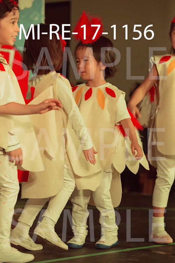 MI-RE-17-1156.jpg