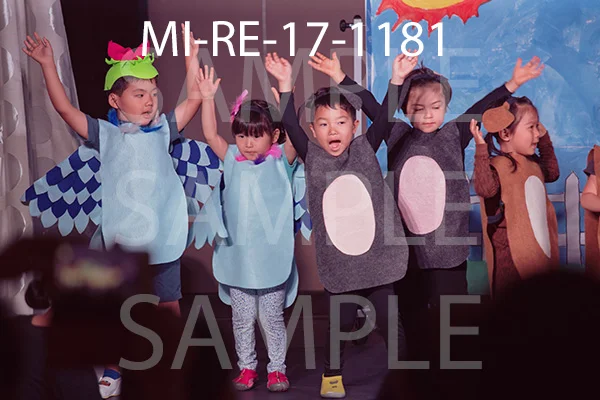 MI-RE-17-1181.jpg