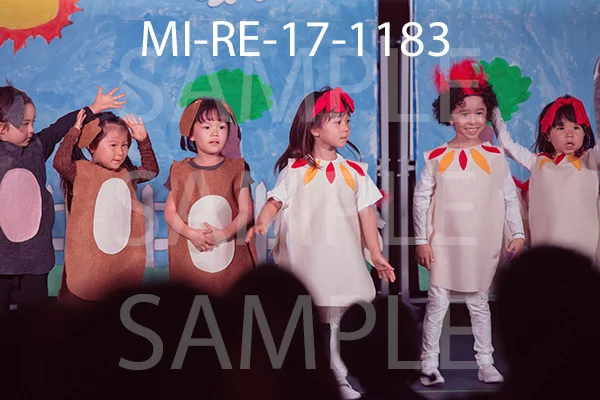 MI-RE-17-1183.jpg