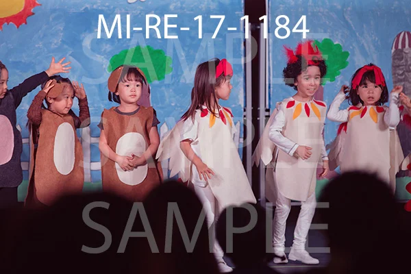 MI-RE-17-1184.jpg