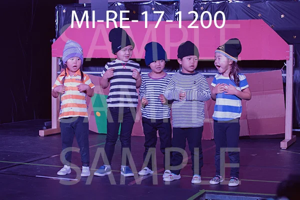 MI-RE-17-1200.jpg