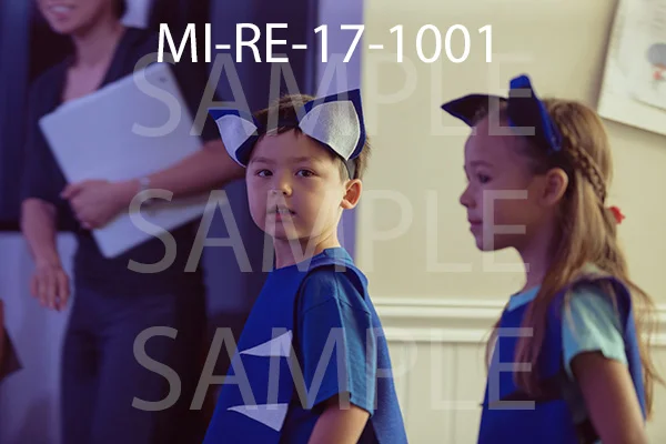 MI-RE-17-1001