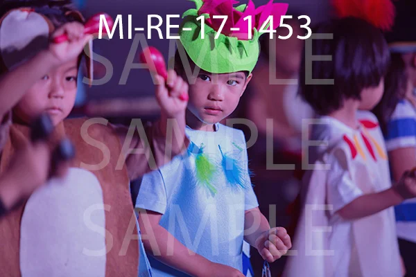 MI-RE-17-1453.jpg