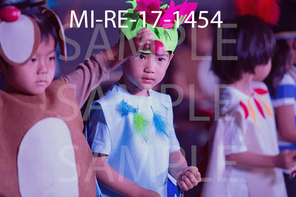 MI-RE-17-1454.jpg