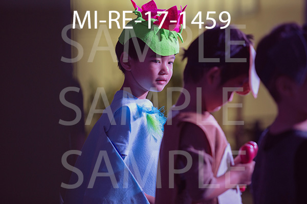 MI-RE-17-1459.jpg
