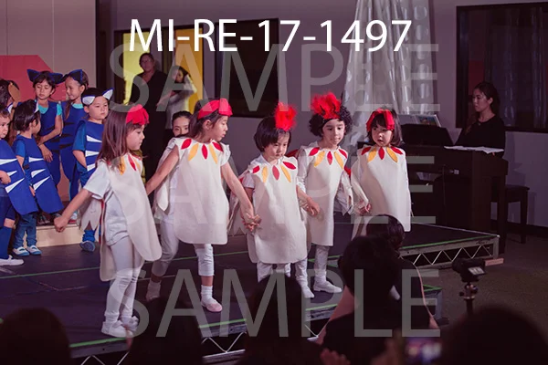 MI-RE-17-1497.jpg