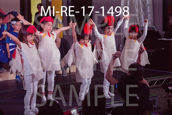 MI-RE-17-1498.jpg