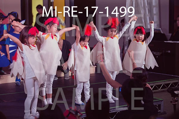 MI-RE-17-1499.jpg