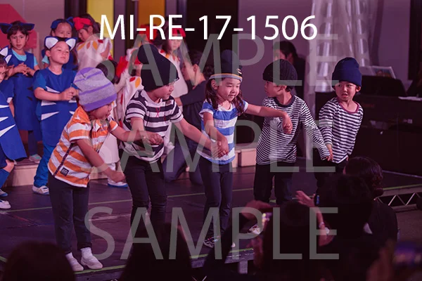 MI-RE-17-1506.jpg