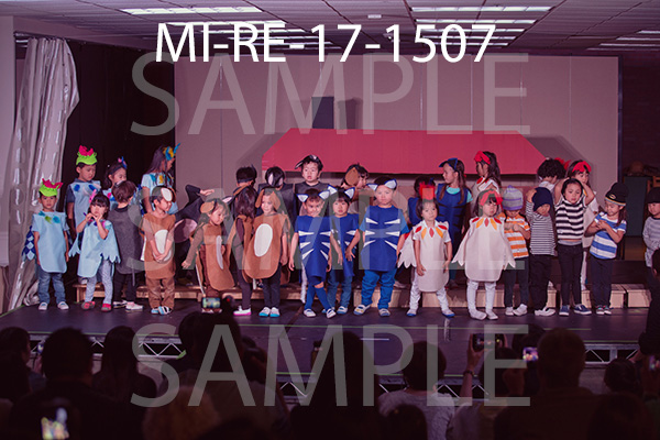 MI-RE-17-1507.jpg